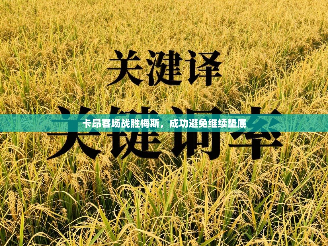 卡昂客场战胜梅斯，成功避免继续垫底  第2张