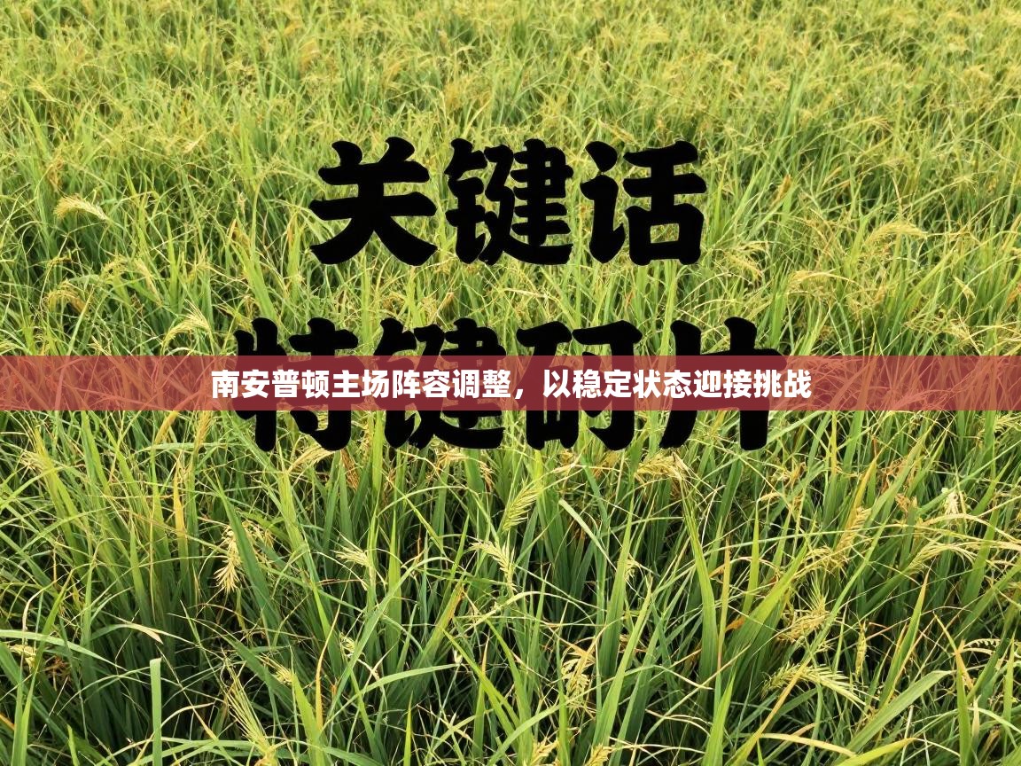 南安普顿主场阵容调整,以稳定状态迎接挑战 第1张